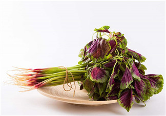 莧菜為什么是紅的？莧菜是涼性的嗎？