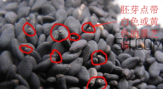 黑芝麻清洗掉色正常嗎？黑芝麻有黑色素嗎？