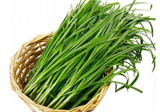 韭菜種植條件有哪些？韭黃和韭菜的區(qū)別