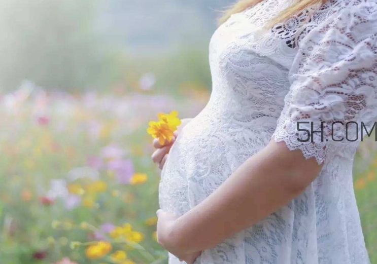 孕酮是什么？孕酮是黃體酮嗎？