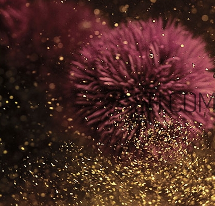 海藍之謎鎏金精華怎么用？海藍之謎鎏金精華使用心得