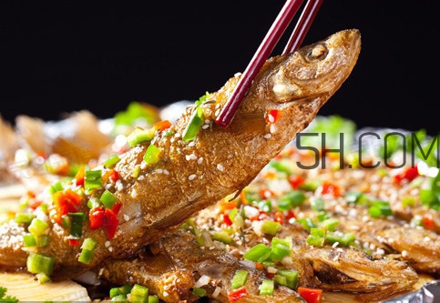 刁子魚是什么魚？刁子魚是翹嘴鲌嗎