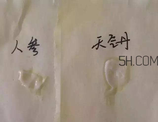 雪花秀人參面霜和whoo后天氣丹面霜哪個好?