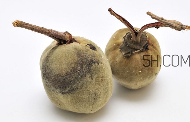 猴面包樹果實(shí)好吃嗎？猴面包樹果實(shí)怎么吃