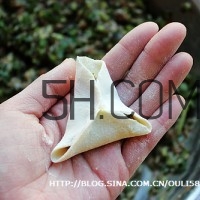 餃子和面用熱水還是冷水？餃子和面要醒多長(zhǎng)時(shí)間？