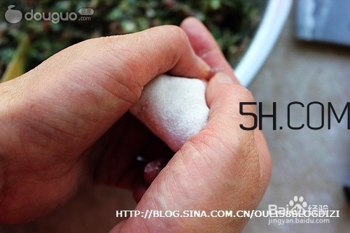 怎么包餃子快又好看？十種家常包餃子的方法~