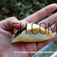 餃子和面用熱水還是冷水？餃子和面要醒多長(zhǎng)時(shí)間？