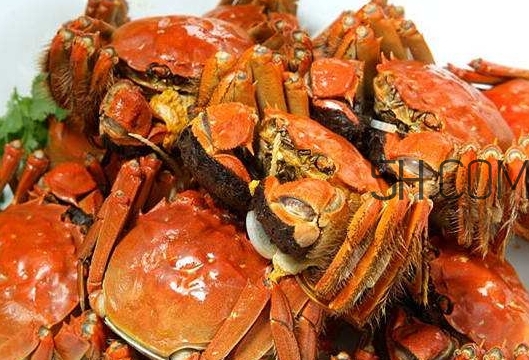 孕婦吃螃蟹多久流產(chǎn)？孕婦吃多少螃蟹會(huì)流產(chǎn)？