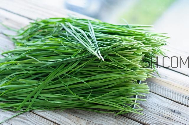 怎么包餃子快又好看？十種家常包餃子的方法~