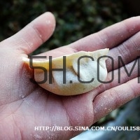 餃子和面用熱水還是冷水？餃子和面要醒多長(zhǎng)時(shí)間？