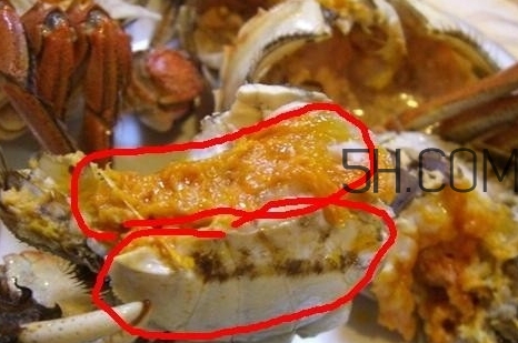 螃蟹的屎在哪里？螃蟹的屎和蟹黃怎么分辨？