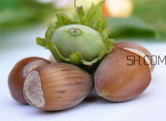 榛子生吃好還是熟吃好？榛子怎么吃營養(yǎng)價值高？