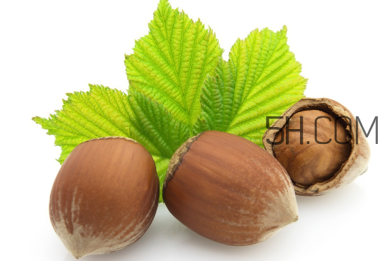 榛子的皮可以吃嗎？榛子的皮怎么處理？