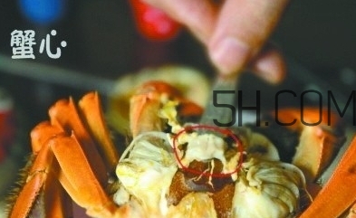 螃蟹的屎在哪里？螃蟹的屎和蟹黃怎么分辨？