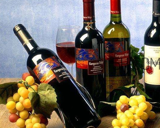 小孩能不能喝葡萄酒？高血糖能不能喝葡萄酒