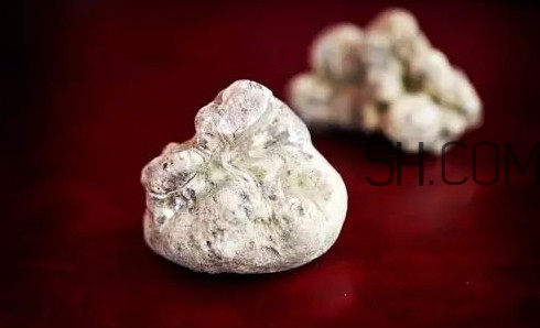 白松露一公斤多少錢？白松露到底有多貴有多好呢