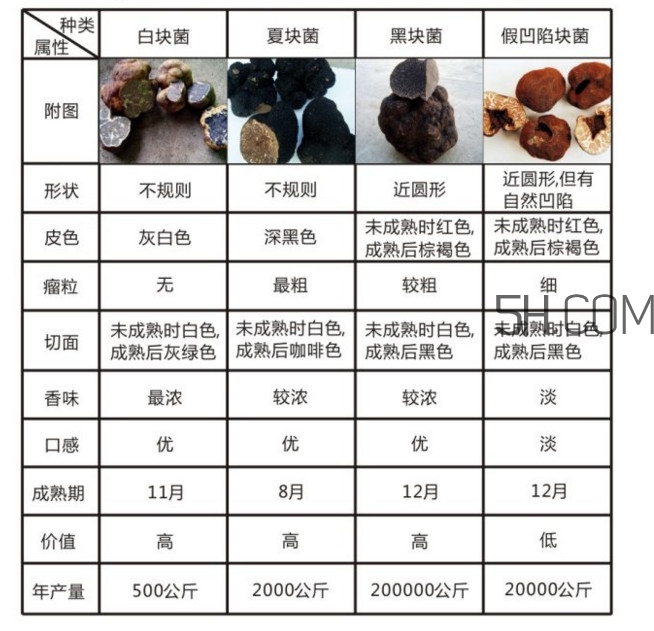 松露怎么分辨真假？松露怎么清洗