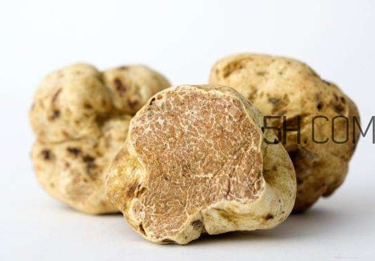 松露不能和什么一起吃？松露有毒嗎