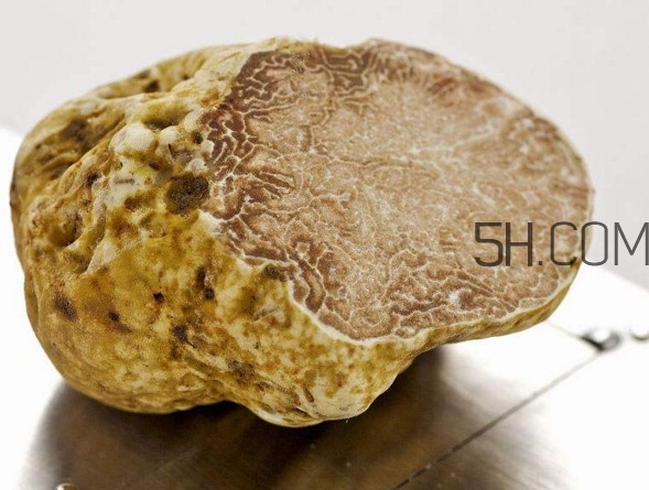 白松露一公斤多少錢？白松露到底有多貴有多好呢