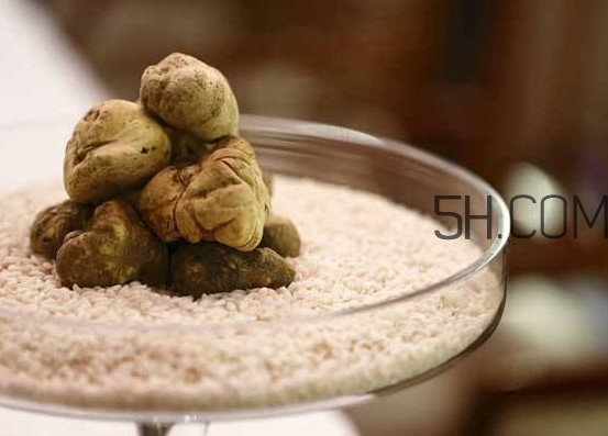 白松露一公斤多少錢？白松露到底有多貴有多好呢