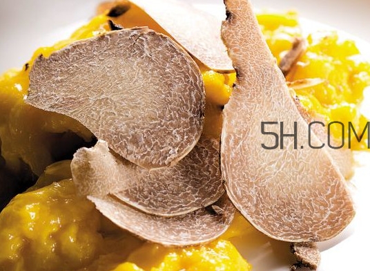 白松露怎么吃？白松露可以曬干保存嗎