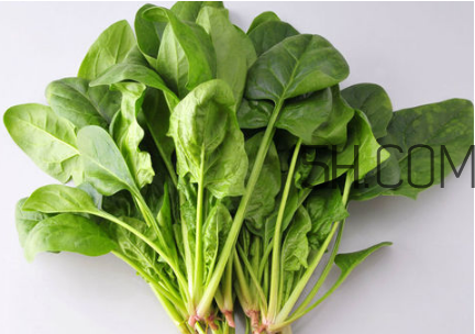 什么是無氧運(yùn)動(dòng)？減脂餐食譜大全