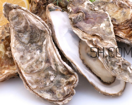 海蠣子怎么保存？海蠣子怎么挑選