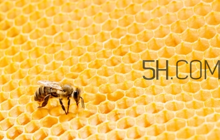 雅頓身體乳怎么樣 雅頓身體乳保質(zhì)期 雅頓身體乳怎么樣 雅頓身體乳保質(zhì)期