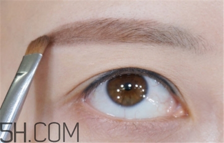 畫眉教程圖解 畫眉毛的技巧圖解一字眉 畫眉教程圖解 畫眉毛的技巧圖解一字眉