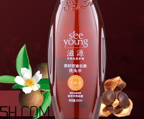 滋源茶籽洗發(fā)水多少錢(qián)_滋源茶籽洗發(fā)水價(jià)格