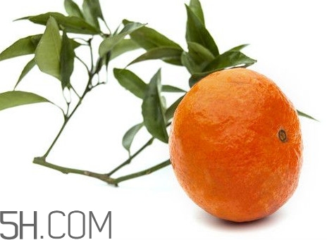 沃柑什么時(shí)候成熟？沃柑什么時(shí)候放秋梢