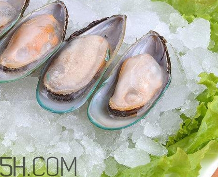 海蠣子是發(fā)物嗎？海蠣子什么人不能吃