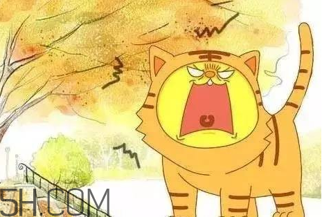 2017年有秋老虎嗎？秋老虎飲食注意事項