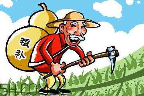 2018年玉米補(bǔ)貼多少錢(qián)？2018年玉米補(bǔ)貼什么時(shí)候發(fā)？