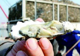 海蠣子是寒性的嗎？海蠣子是蒸還是煮好吃