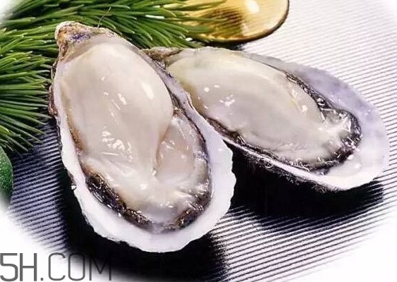 海蠣子是寒性的嗎？海蠣子是蒸還是煮好吃