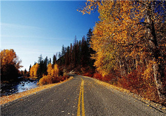 秋天喝蜂蜜有什么好處？秋天吃什么對(duì)身體好？