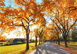 立秋后吃什么魚好？秋老虎吃什么解暑？