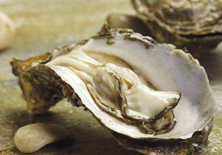 海蠣子是生蠔嗎？海蠣子和生蠔的區(qū)別