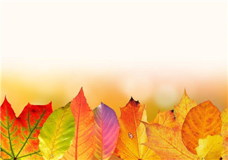 立秋后能吃醋泡姜嗎？醋泡姜什么時(shí)候吃最好？