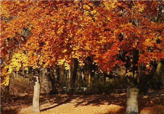 秋天吃什么蔬菜比較好？秋天喝蜂蜜的注意事項(xiàng)