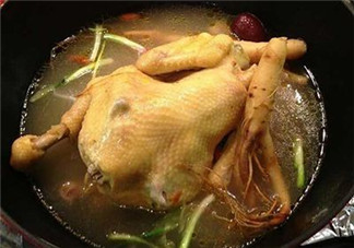 秋季吃紅薯的好處？秋天為什么要吃肉？