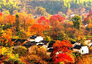 秋季滋補養(yǎng)生越補越好嗎？2017年秋天是幾月份？