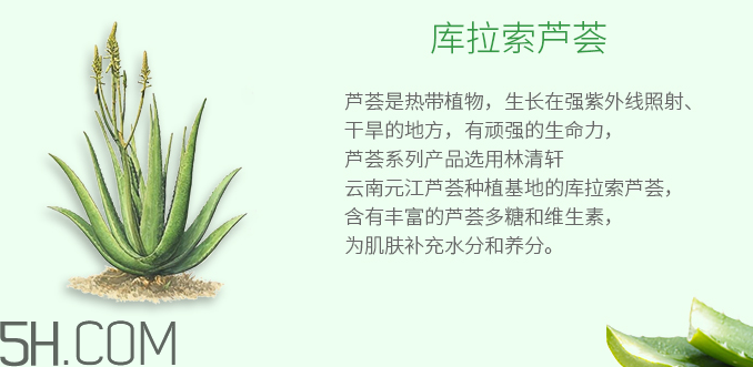 林清軒蘆薈面膜泥怎么樣？林清軒蘆薈面膜泥測(cè)評(píng)
