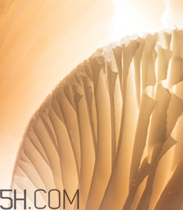 海藍(lán)之謎鎏光煥變蜜粉怎么樣？海藍(lán)之謎鎏光蜜粉好用嗎