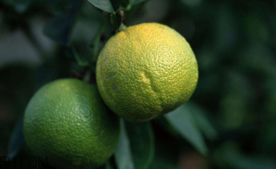 柚子不能和什么藥物一起吃？柚子皮煮水的功效