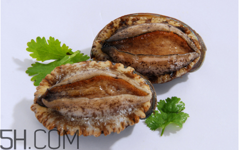 鮑魚吃了會(huì)上火嗎？鮑魚是發(fā)物嗎？