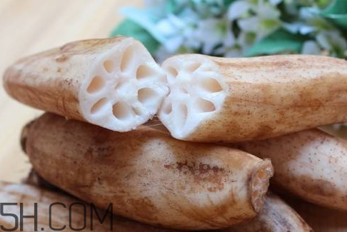 2018年蓮藕價(jià)格會(huì)漲嗎 2018年蓮藕行情預(yù)測 2018年蓮藕價(jià)格會(huì)漲嗎 2018年蓮藕行情預(yù)測