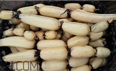 2018年蓮藕價(jià)格會(huì)漲嗎 2018年蓮藕行情預(yù)測 2018年蓮藕價(jià)格會(huì)漲嗎 2018年蓮藕行情預(yù)測