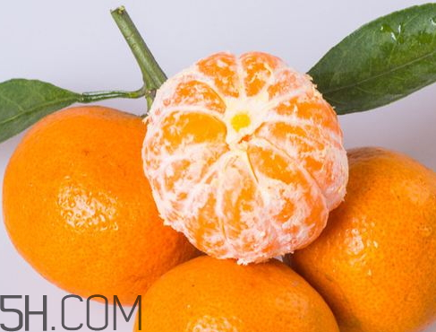 2017桔子多少錢一斤 桔子多少錢一斤2017 2017桔子多少錢一斤 桔子多少錢一斤2017